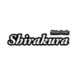 Shirakura