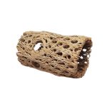 Teddy Bear Cholla Wood