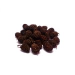 Deverose Alder Cones (Normal)