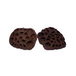 Deverose Lotus Pods (Large)